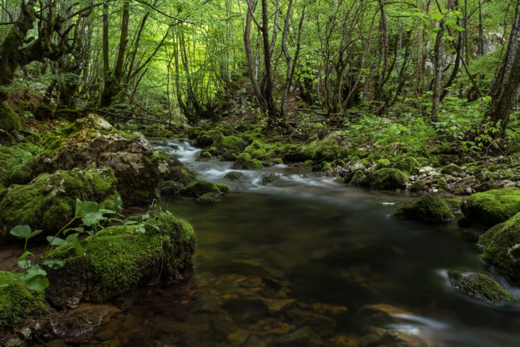 River Ričina, Lika, photo credit by Gospić TB