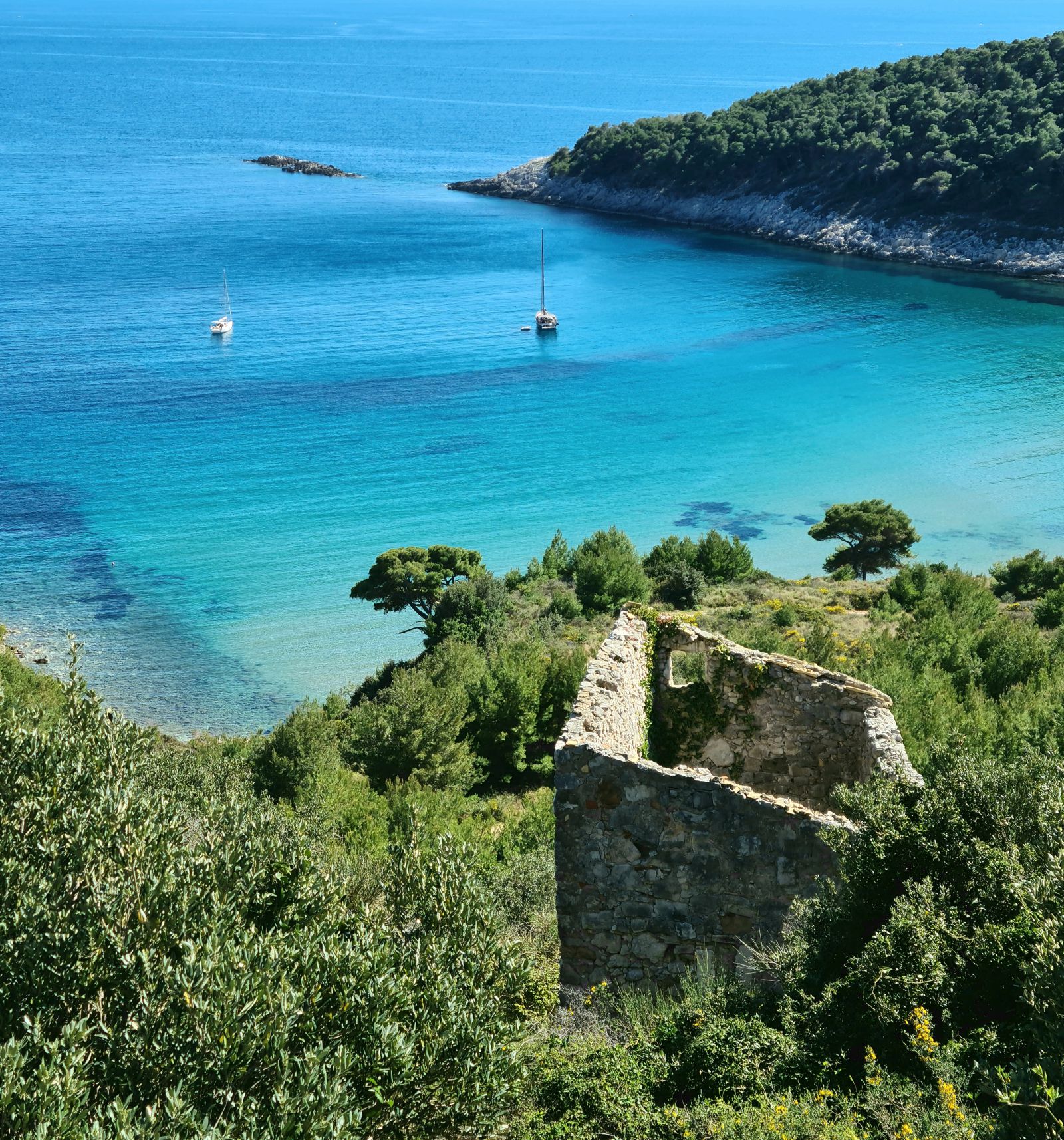 Šunj beach, photo by Robert Medvedec, photo credit by Ponta Lopud festival