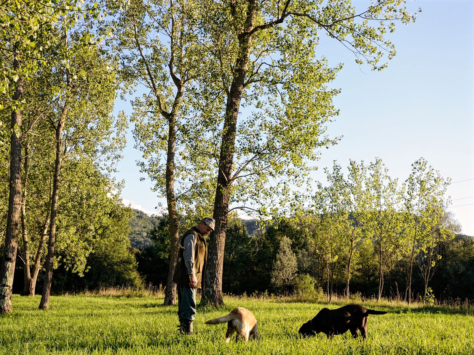 Truffle hunting Zigante Livade, Istria, photo credit by Zigante