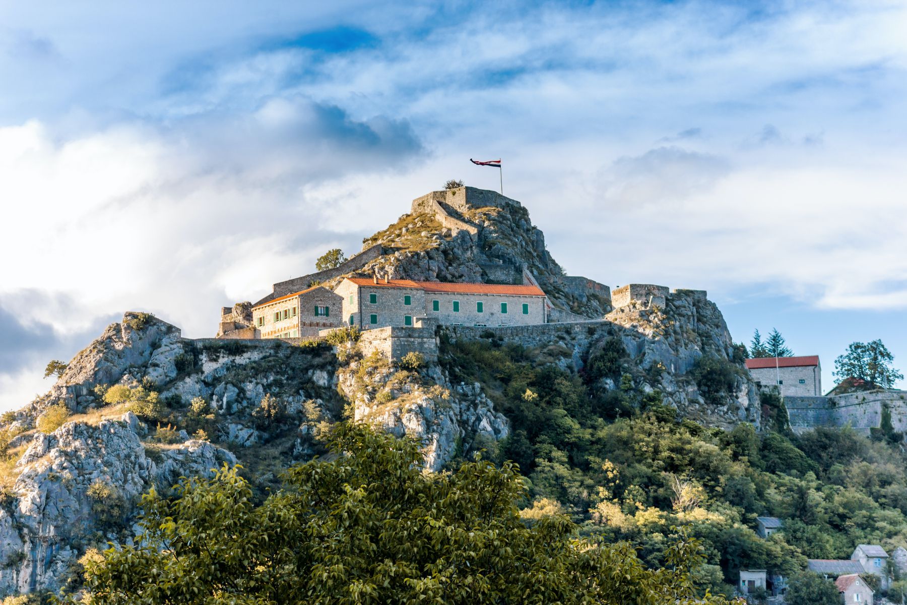 knin dreamdivision6
