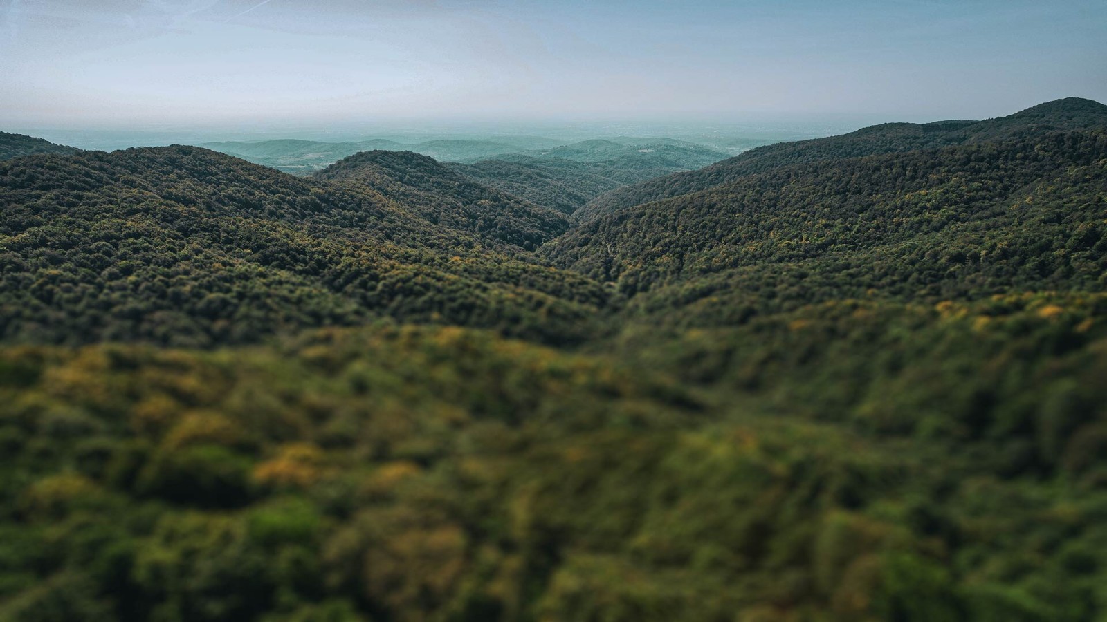 Medvednica, Photo credit Medvednica