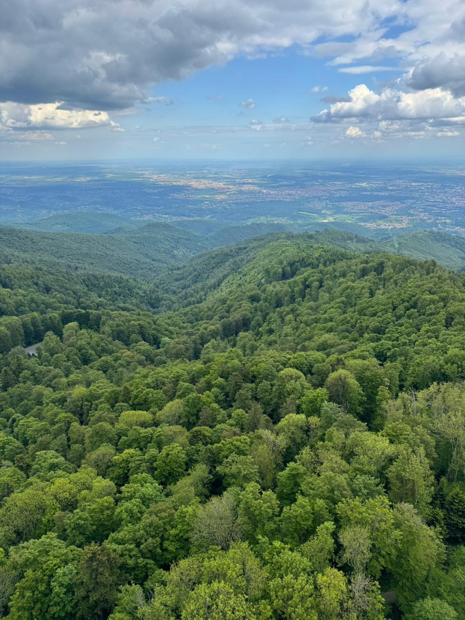 Medvednica, Photo credit Joseph Delmotte
