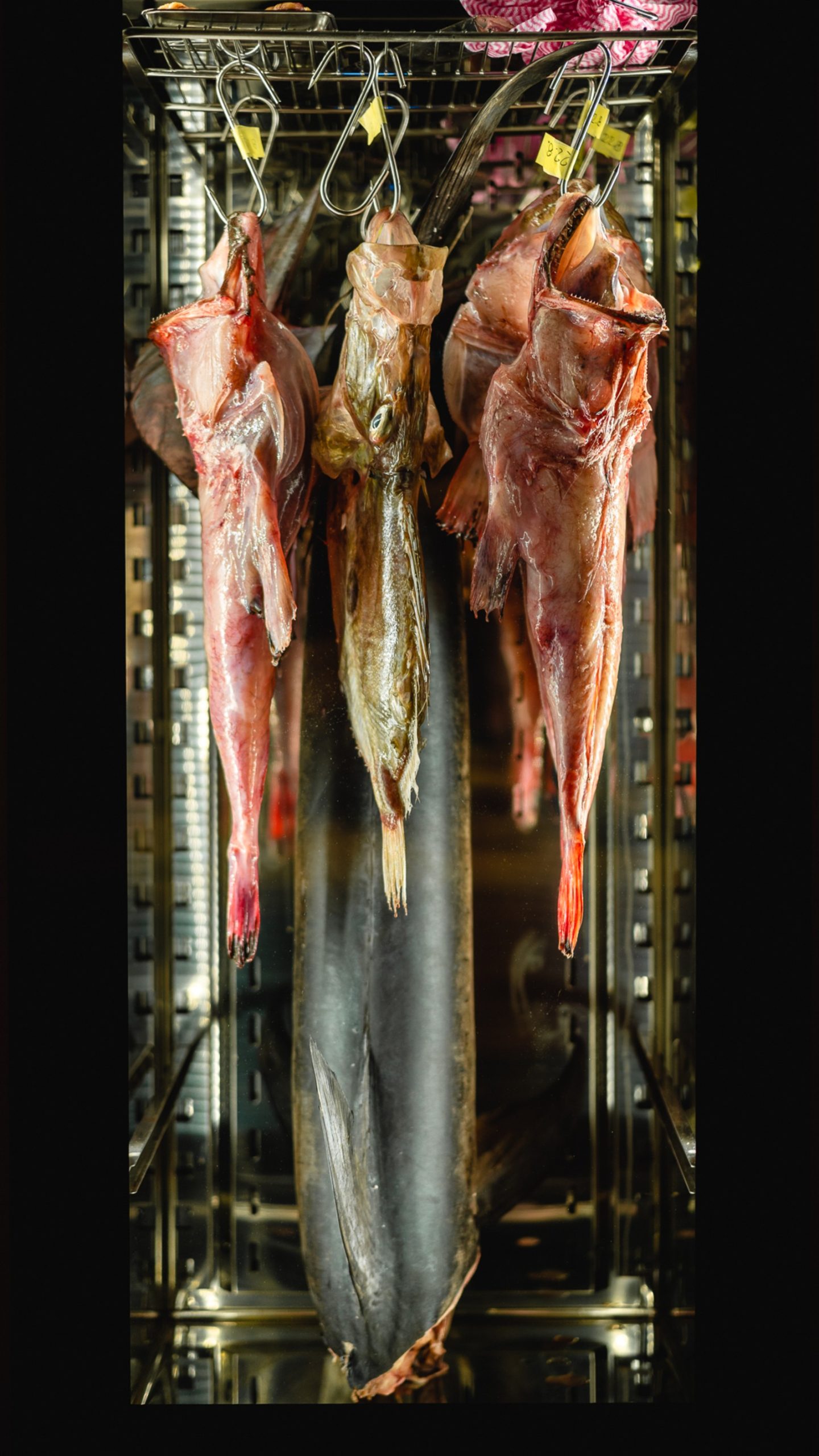 Krug restaurant, photo credit by Prosper Filipović