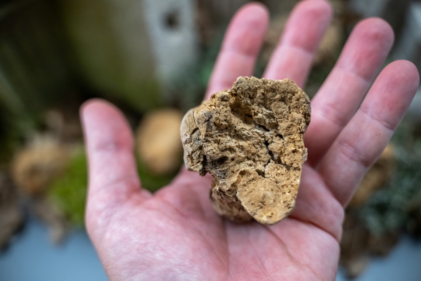 Nova Eroica Istria, Photo credit by Paolo Penni Martelli