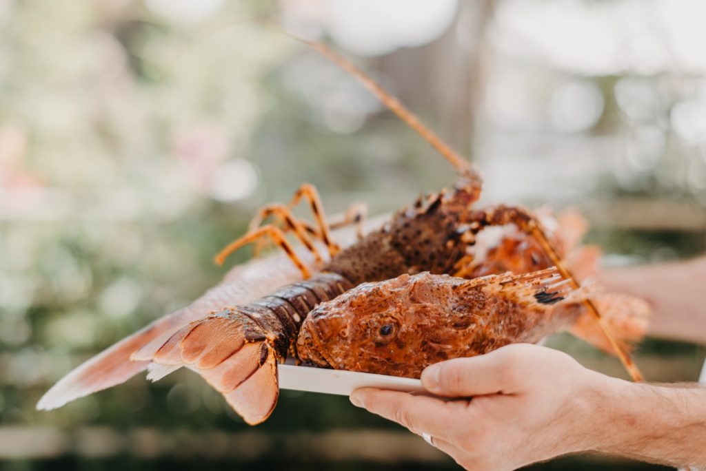 Photo credit by Zori Timeless Restaurant, Hvar