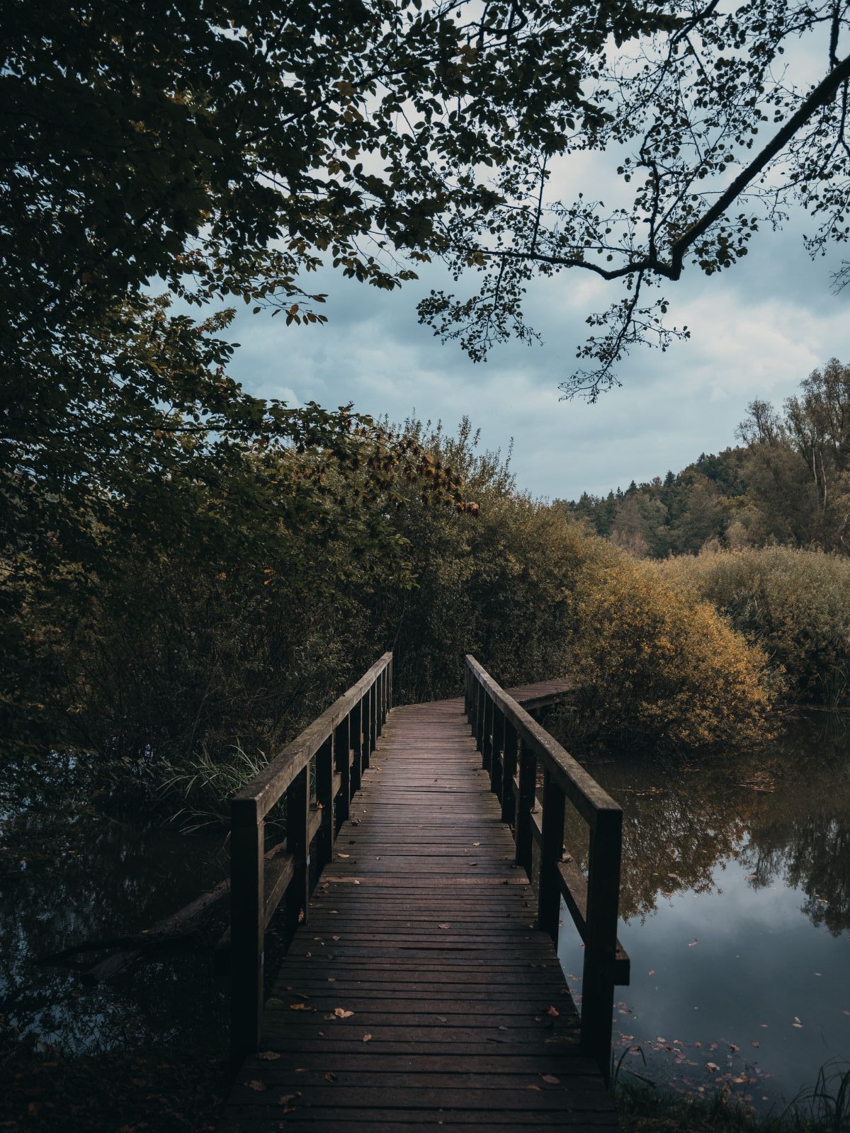Trakošćan castle in fall, Photo by Studio Twenty2, Photo credit by Dvor Trakošćan