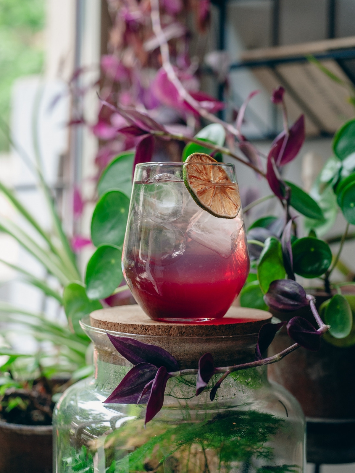 Botanicar, bar, Zagreb, photo by Ivica Ivčević, photo credit by Botanicar (4)