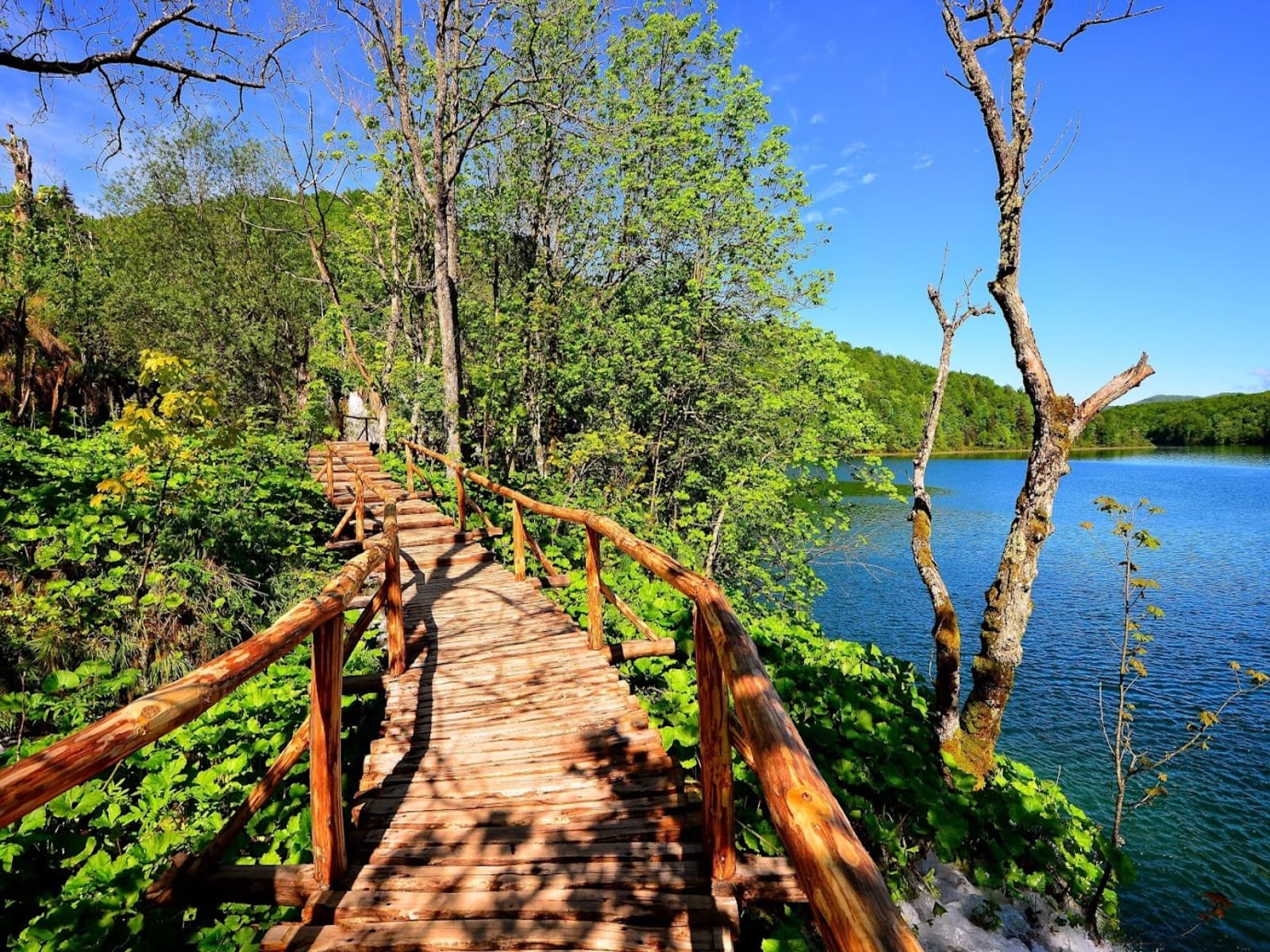 Plitvice Lakes National Park, Property of NPPJ Archive, Photo credit by Plitvice Lakes National Park