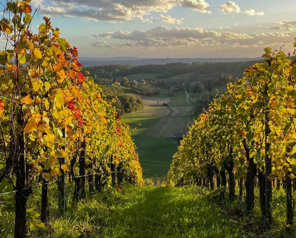 photo credit by SEMBER WINERY