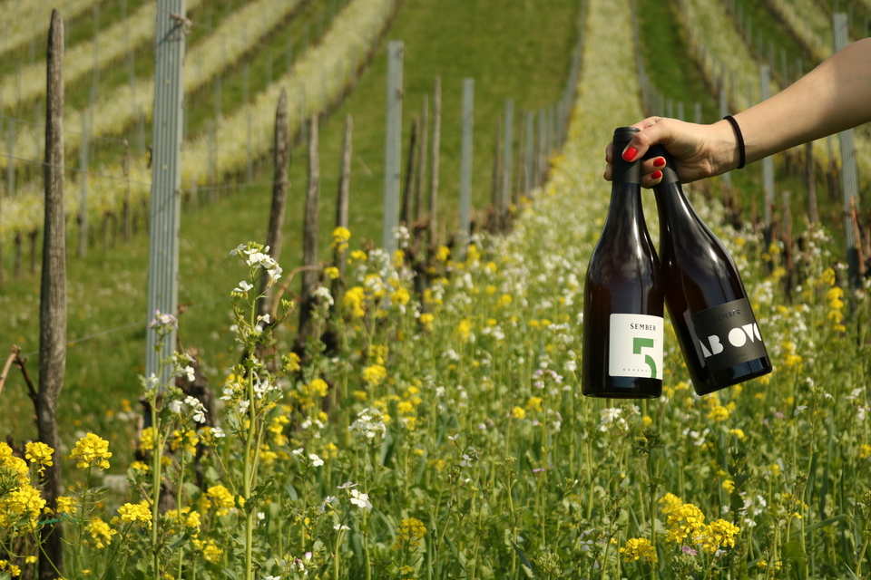 photo credit by SEMBER WINERY