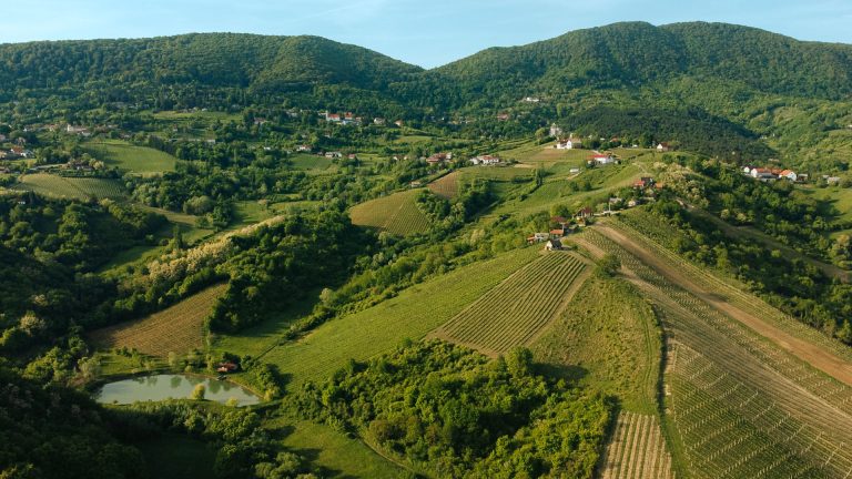 Jagunic Winery, photo by JAGUNIC WINERY