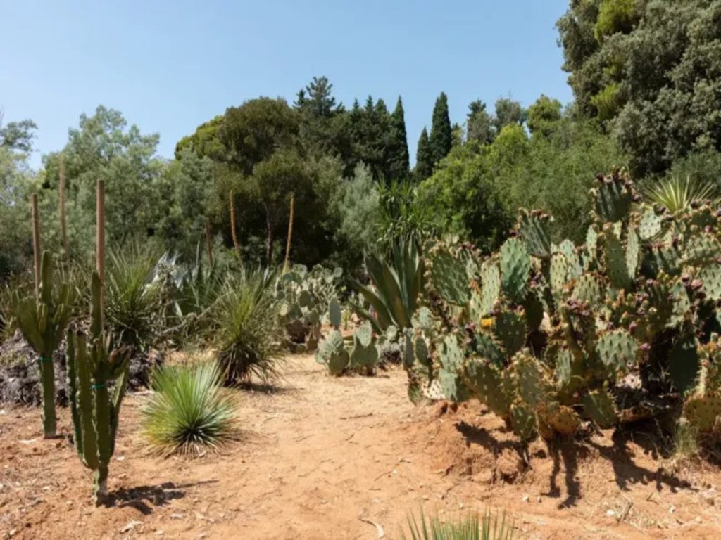 Lokrum, garden photo credit by Lokrum reserve (gallery)