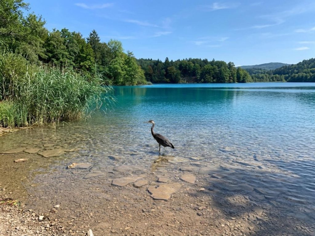 Plitvice National Park, photo credit by Ellysa Flechel