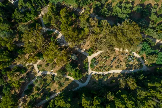 Lokrum garden, photo credit by Lokrum reserve (gallery)